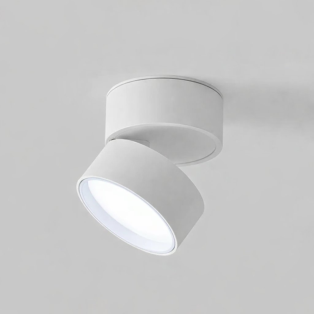 Nowoczesna regulowana lampka sufitowa LED View 29