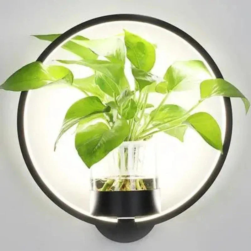 Aplică LED cu ghiveci decorativ