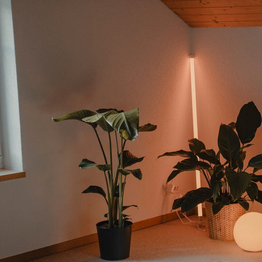 Kolorowa Neonowa Lampa Podłogowa LED Rurka Hero