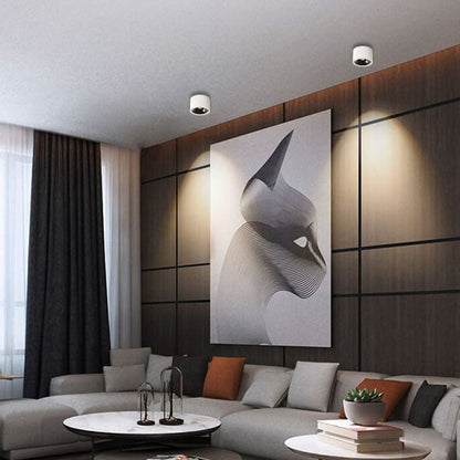 Minimalistyczny Aluminiowy Plafon Sufitowy LED Regulowany Reflektorek Alternate
