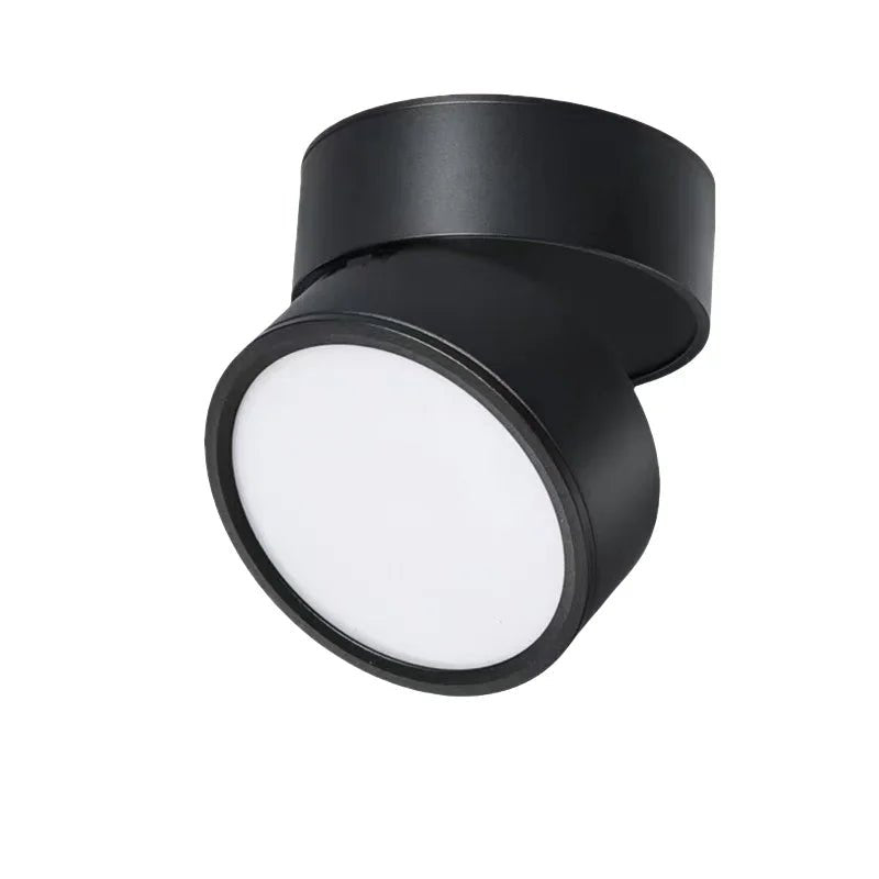 Nowoczesna regulowana lampka sufitowa LED Angle