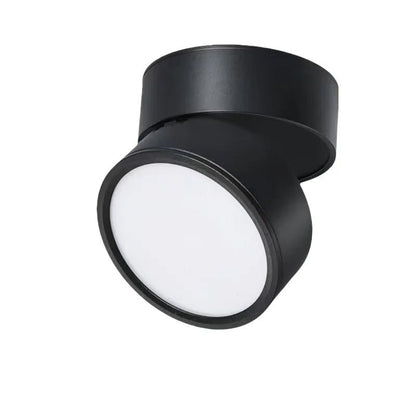 Nowoczesna regulowana lampka sufitowa LED Angle