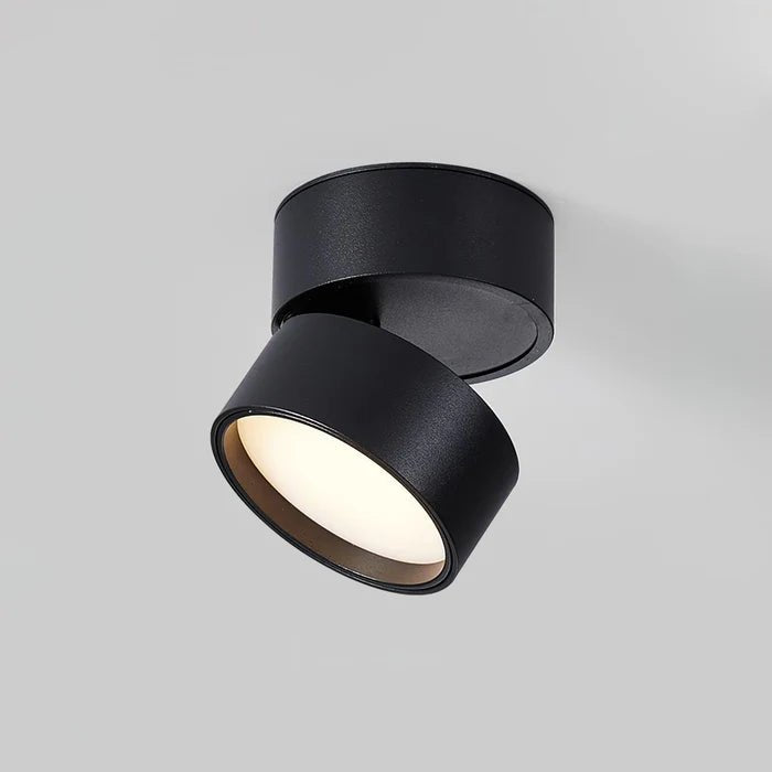 Nowoczesna regulowana lampka sufitowa LED Full