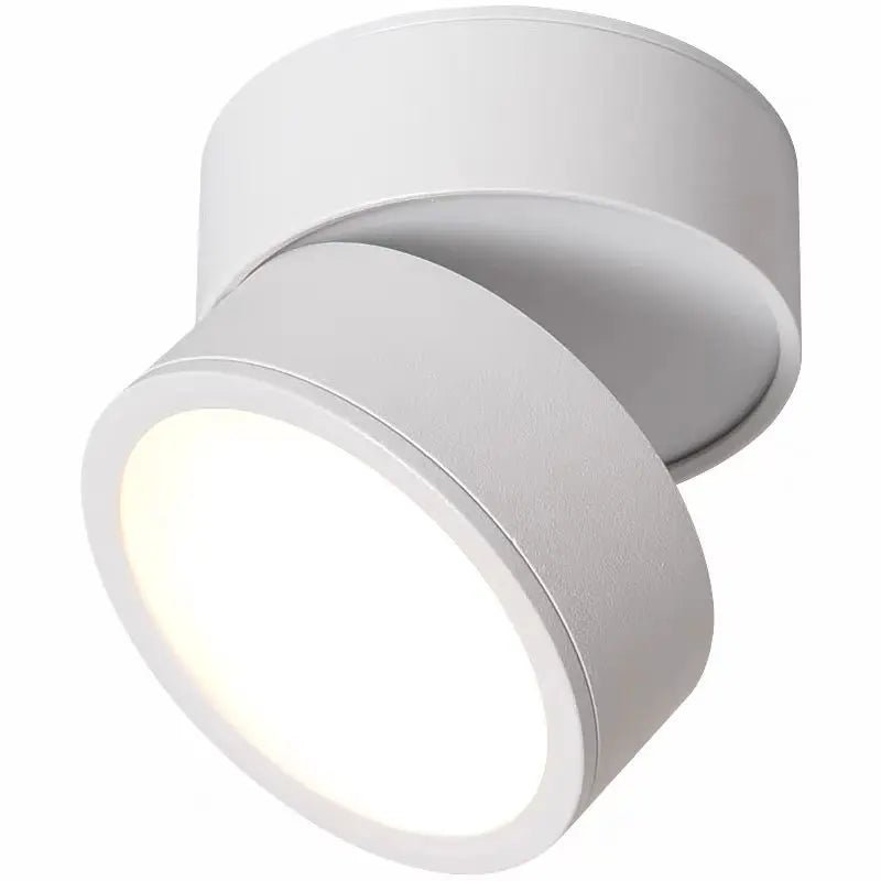 Nowoczesna regulowana lampka sufitowa LED Lifestyle