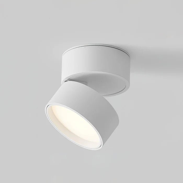 Nowoczesna regulowana lampka sufitowa LED View 14