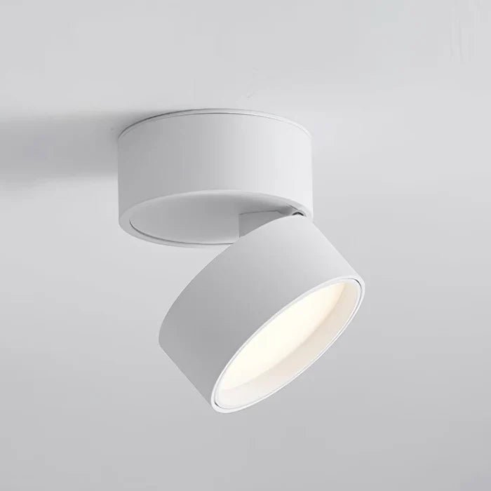 Nowoczesna regulowana lampka sufitowa LED View 20